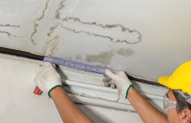 Reliable Mold Remediation contractor in Ecorse, MI by Water Damage Irwin